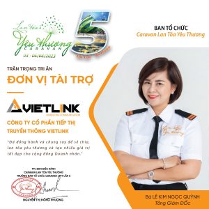 dvtt-vietlink